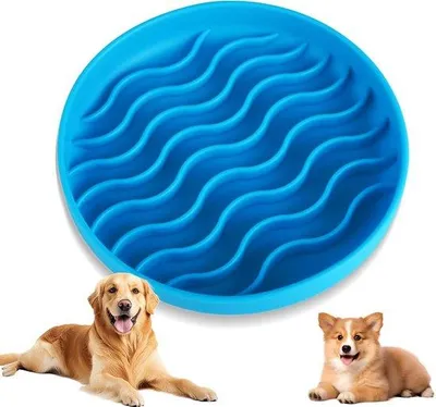 Produktbild von Famanu Anti-Schlingnapf für Katzen und Hunde - Ø 20 cm - langsames Fressen - rutschfester Futternapf (blau)