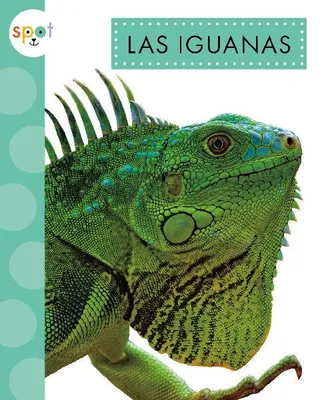 Produktbild von Las Iguanas