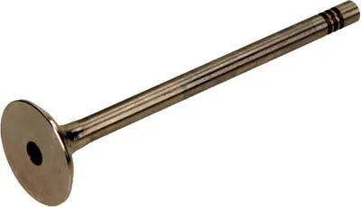 Obrázek produktu pro Výfukový Ventil Vw 1.4/1.6 16V