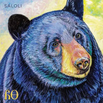 Obrázok produktu pre Saloli: (Vinyl / Rock (Vinyl))