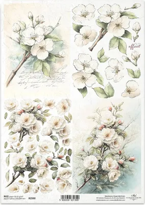Immagine prodotto di ITD carta di riso decoupage tecnica artigianale tovagliolo di carta-R2590 fiori bianchi
