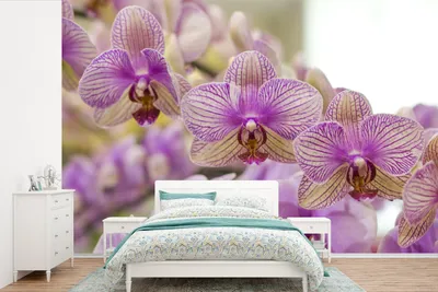 Produktbild von MuchoWow® Fototapete für Wohnzimmer oder Schlafzimmer Wandtapete Vinyl Motivtapete Die vielen lila Orchideen - 360x240 cm - Vinyl-Tapete