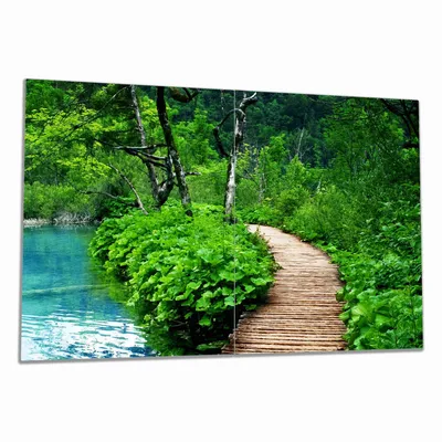 Produktbild von Wallario Herdabdeckplatte aus Glas, Größe 80 x 52 cm 2-teilig, Motiv Holzweg im Wald