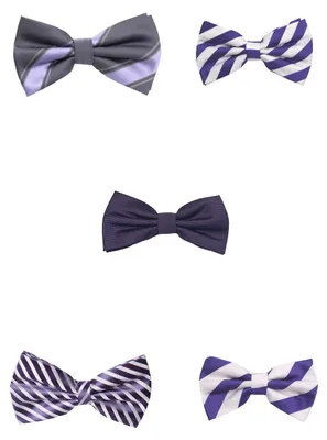Produktbild von Fabio Farini - 5 Stück Herren Fliegen - Farbton Violett - Männer Querbinder Vorgebunden Violett - Purple Rain