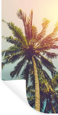 Produktbild von MuchoWow® Wandtattoo Wandsticker Wandaufkleber Palme - Sommer - Tropisch - Sonne 80x160 cm Selbstklebend und Repositionierbar - Sticker - Dekorfolie