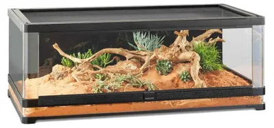 Produktbild von Terrarium, Paludarium Exo Terra EX Vista 120 - 120 x 45 x 45 cm Panoramaterrarium mit abgerundete Glasfrontecken für ein