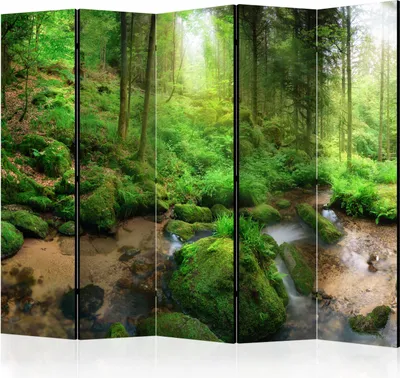 Produktbild von 5-teiliger Doppelseitiger Vlies Paravent - Humid Forest II 225x172 cm Landschaften c-B-0374-z-c