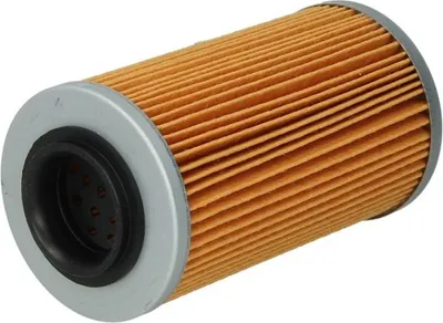 Produktbild von Ölfilter CHAMPION COF456 Filtereinsatz