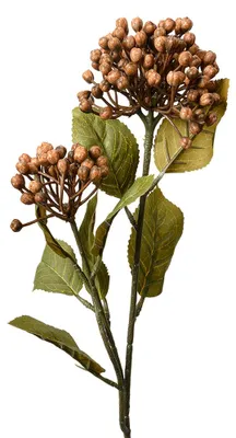 Produktbild von Clayre & Eef Kunstblume 53 cm Braun Kunststoff