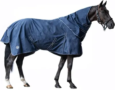 Productafbeelding van Paardendeken - Outdoor deken - Paard beschermen - Waterdicht en winddicht - 115 cm - Blauw