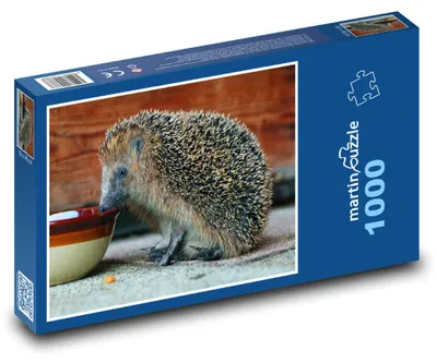Obrázek produktu pro Puzzle 1000 Ježek u misky - martinpuzzle