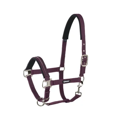 Produktbild von Eskadron Classic Sports Halfter mit Dornschnalle