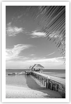 Produktbild von Poster - Poster ohne Rahmen - Himmlisch Strand Monochrom - 61x91,5 cm - Wand Bild - Wanddeko - Wandbilder - Kunstposter - Wandposter - Bilder - Kunstdruck - Wanddekoration - Wandbild - P2XPA61x91-4750