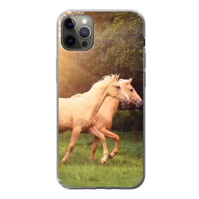 Produktbild von MuchoWow® Handyhülle Schutzhülle Hülle für iPhone 12 Pro Max Pferde - Wald - Sonne Silikon Softcase Handy Hülle - Hartschale