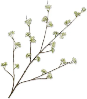 Produktbild von Künstlicher Dillzweig, grün, 115 cm, Dekoration für Innenräume
