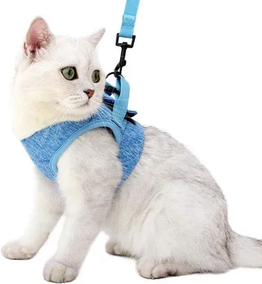 Productafbeelding van Kattenharnas en -riem - Ultralicht veiligheidsgordel voor kittens, kattenhalsband met schokabsorptie, zacht en comfortabel voor puppy's en konijnen