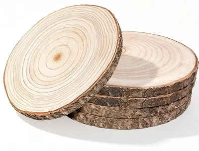 Holzscheiben, 5 Stk., 18-20 cm, 15 mm, rund, für DIY