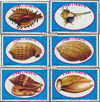 Produktbild von Briefmarken Sao Tome e Principe 1981 Mi 680-685 (kompl.Ausg.) postfrisch Meeresschneckengehäuse