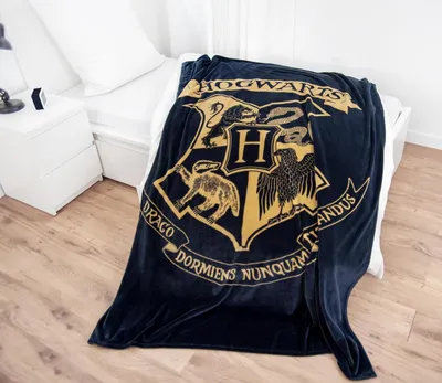 Produktbild von Harry Potter Wellsoft-Flauschdecke, 150 x 200 cm, 100 % Polyester