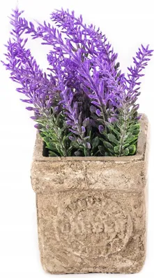 Zdjęcie produktu dla SZTUCZNE KWIATY W DONICZCE Wrzos 17CM RÓŻNE KOLORY