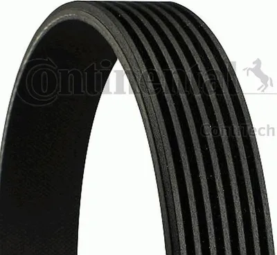 Produktbild von Continental ContiTech 7PK1260 Keilrippenriemen für NISSAN NP300 Navara Pickup (D40) 1260mm