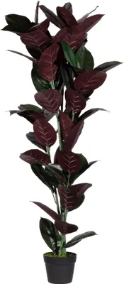 Produktbild von Paperflow Kunstpflanze PAFICE120 Gummibaum 120cm