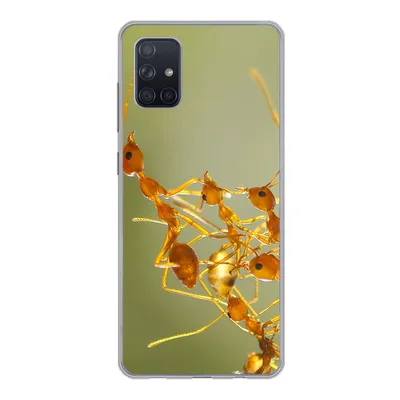 Produktbild von MuchoWow® Handyhülle Schutzhülle Hülle für Samsung Galaxy A71 Ameisen - Orange - Tiere Silikon Softcase Handy Hülle - Kartenbesitzer