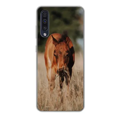 Produktbild von MuchoWow® Handyhülle Schutzhülle Hülle für Samsung Galaxy A50 Pferd - Sonne - Landschaft Silikon Softcase Handy Hülle - Mobiltelefonhülle