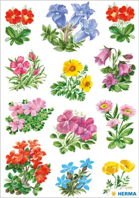 Obrázek produktu pro Herma 3582 Nálepka DECOR horské květiny