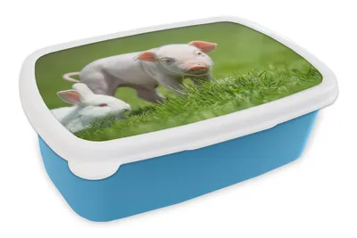Obrázok produktu pre MuchoWow® Obedník Brotzeit Box na obed 11x17x6cm Prasiatko - Králik - Zvieratá Detský obedový box