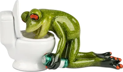 Immagine prodotto di Figurina decorativa rana davanti alla toilette H. 8cm pietra verde Formano Froschhausen