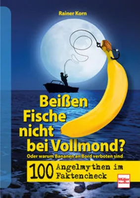 Zdjęcie produktu dla 100 Angel-Mythen im Faktencheck