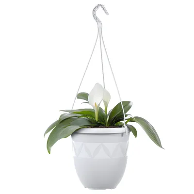 Produktbild von Blumentopf Hängeampel 18 cm Durchmesser Farbe Weiß