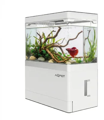 Acryl-Aquarium HYDO mit LED, Pumpe & Filter, 3,5 l, Weiß