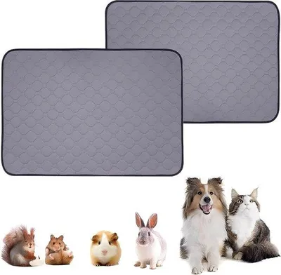 Image de Tapis hygiéniques pour chiens - Tapis en plastique lavables - Pour chiens et chats - Gris, 60 x 47 cm.