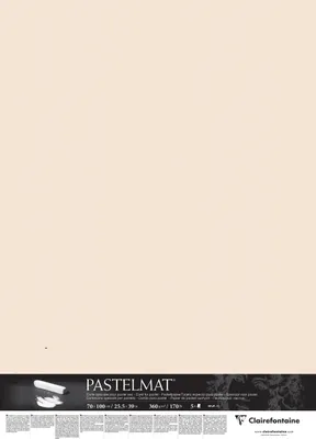 Produktbild von Clairefontaine Pastelmat Pastellmalerei, 5 Bogen 70x100 cm, 360g Beige 296057C