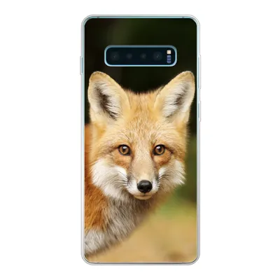 Produktbild von MuchoWow® Handyhülle Schutzhülle Hülle für Samsung Galaxy S10 Plus Fuchs - Welpe - Porträt Silikon Softcase Handy Hülle - Schutzhülle