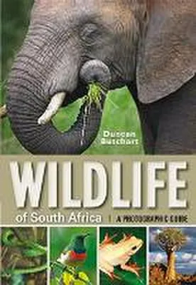 Produktbild von Wildlife of South Africa