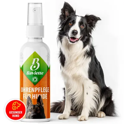 Produktbild von Baviette Geruchloser & natürlicher Ohrenreiniger für Hunde 100ml – mit Mikroorganismen für den äußeren Ohrbereich