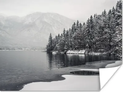 Produktbild von MuchoWow® Poster Wasser - Winter - Natur - Kiefernbaum 160x120 cm - Foto Plakat