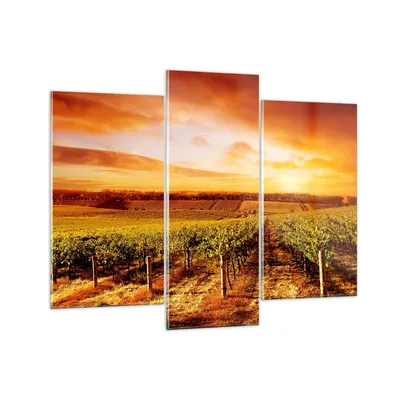 Produktbild von Bilder auf glas - Weinberg Aussicht Landschaft - 130x100cm - Glasbilder - Wandbilder - Kunstdruck - zum Aufhängen bereit - Wanddekoration aus Glas - Glas Bilder - Wandbild auf Glas - GCB130x100-0170