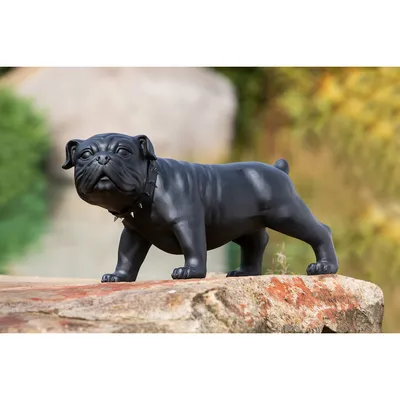 Obrázok produktu pre Casablanca by Gilde dekoratívna figúrka pes buldog Bobby V. 38,5 cm,52171