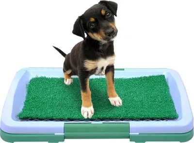 Produktbild von Toaleta pro psy Paws n Claws