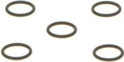 Obrázek produktu pro Oring