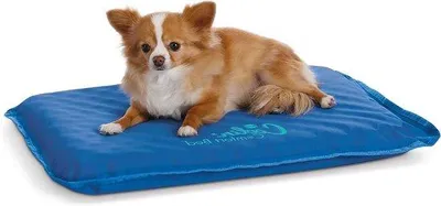 Produktbild von Kühlendes Hundebed für Hunde