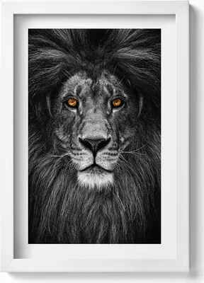 Produktbild von Schwarz-weißer Löwenkopf– Wandbild mit Rahmen – Gerahmtes Bild  – Wanddekoration – 20x30 cm – Weiß