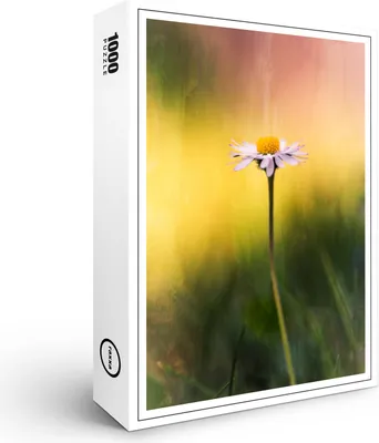 Produktbild von raxxa Premium-Puzzle "Gänseblümchen", 1000 Teile