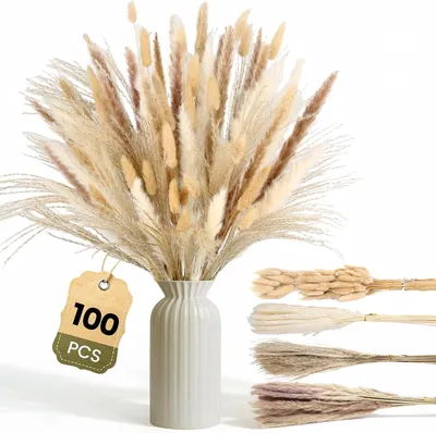 Zdjęcie produktu dla Zestaw suszonych traw Pampas, 100 sztuk, naturalnych i białych, idealnych do wazonów