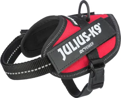 Produktbild von Julius-K9 IDC Powergeschirr rot, Größe: 2XS/Baby 2