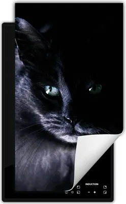 Produktbild von DarHaus Herdabdeckplatte 1 teilig 30x52 cm Anti Rutsch Matte Aufrollbar, schwarz - Katze